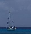 Copy of 100_0831
